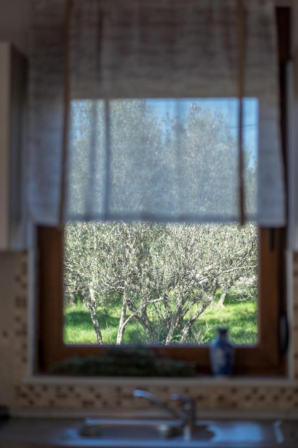 Villa Dijana West Linardići 외부 사진